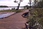 boardwalk widening tinchi tamba.jpg